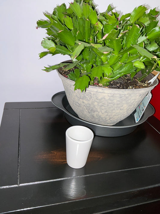 Sublimation shot glass (not a case)