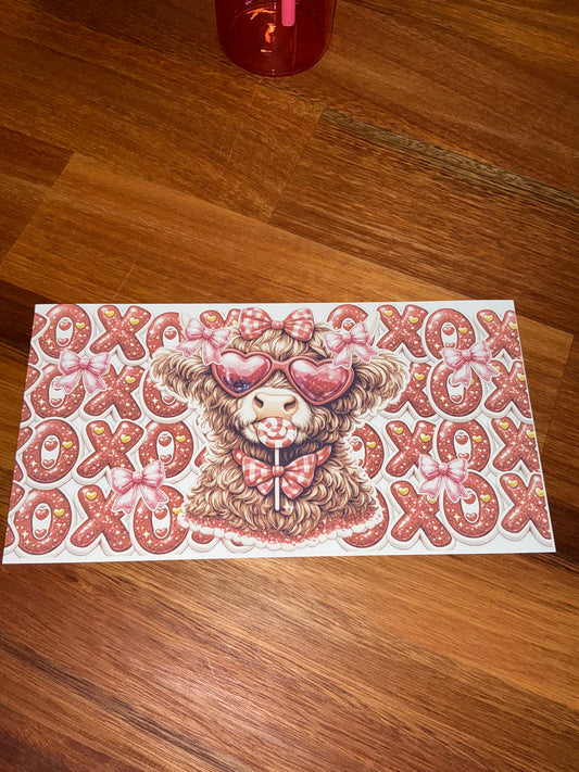 Xoxo highland cow 16 oz glass can sublimation transfer